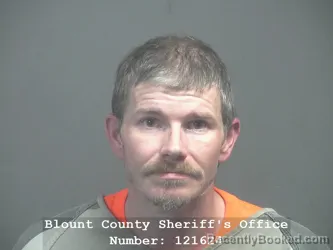 Mugshot of RANDY ALLEN GOWAN