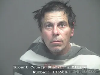 Mugshot of MARK ALLEN YOUNG