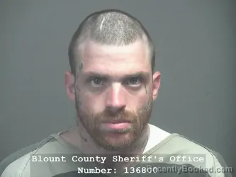 Booking photo from Blount County, Tennessee