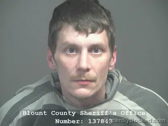 Mugshot of JOSEPH MICHAEL SALES