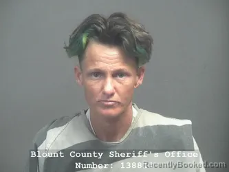 Mugshot of CIARA MARIE ANDERSON