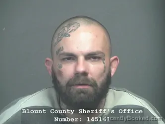 Mugshot of RODNEY LYNN BROWN