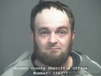 Mugshot of BRANDON GLEN ANDERSON