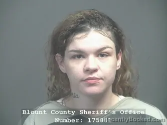 Mugshot of CASEY R FLYNN