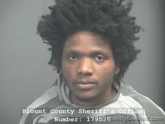 Booking photo from Blount County, Tennessee