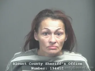 Mugshot of TAMMY NICOLE FULLER