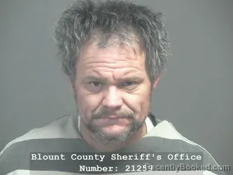 Mugshot of DAVID SCOTT MCNISH