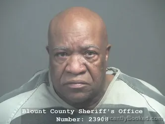 Booking photo from Blount County, Tennessee