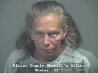 Mugshot of Teresa Armstrong booked in Blount County, Tennessee on September 13, 2026