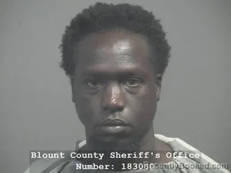 Mugshot of Khalil Abuhania booked in Blount County, Tennessee on September 14, 2026