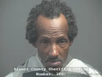 Mugshot of Michael Hall booked in Blount County, Tennessee on October 2, 2026
