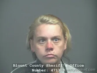 Mugshot of Lisa Weber booked in Blount County, Tennessee on October 6, 2026