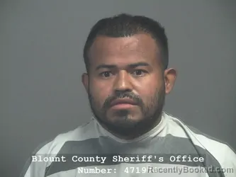 Mugshot of Kevin Mauricio Paz Rodriguez booked in Blount County, Tennessee on October 8, 2026