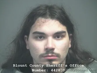 Mugshot of Andres Palacios booked in Blount County, Tennessee on October 10, 2026