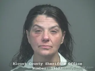 Mugshot of Amanda Devine booked in Blount County, Tennessee on October 10, 2026