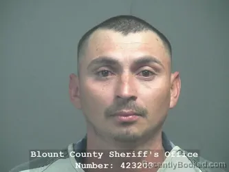 Mugshot of Jose Luis Morales Renderos