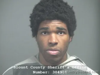 Booking photo from Blount County, Tennessee