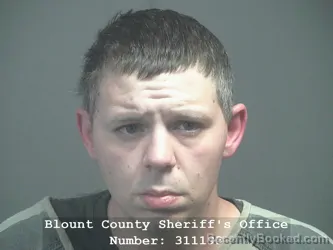 Mugshot of AUSTIN COLE BROWNING