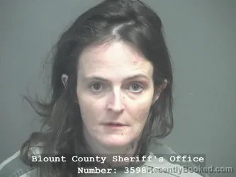Booking photo from Blount County, Tennessee