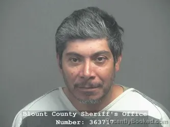 Mugshot of EVER OMAR ALEMAN CEDILLOS
