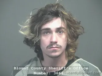 Mugshot of WILLIAM WILEY LANEY