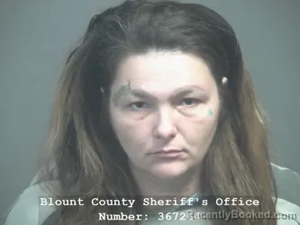 Mugshot of SUMMER ELIZABETH ANDERSON