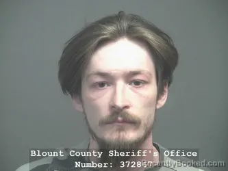 Mugshot of MICHAEL T WAYCASTER