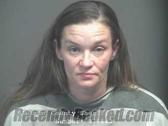 Booking photo from Blount County, Tennessee