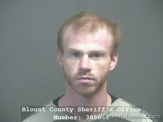 Booking photo from Blount County, Tennessee