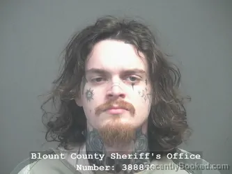 Booking photo from Blount County, Tennessee