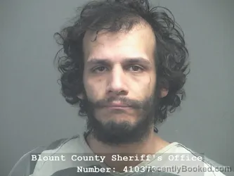 Mugshot of JESSIE B JOHNSON