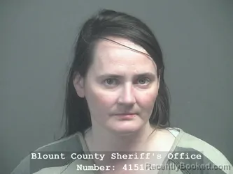 Booking photo from Blount County, Tennessee
