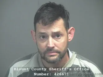 Booking photo from Blount County, Tennessee