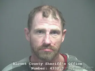 Mugshot of JAMES DEWAYNE SILVEY