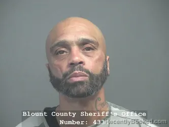 Booking photo from Blount County, Tennessee