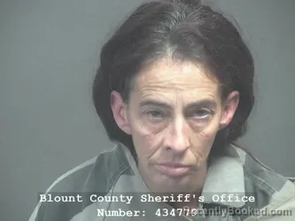 Mugshot of KRISTI LEIGH GIFFORD