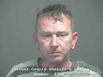 Mugshot of ROBERT MICHAEL FERRELL