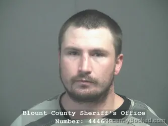 Mugshot of NOELL TEIRY SCHOFIELD