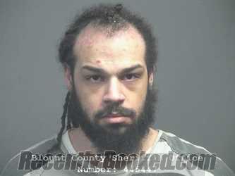 Booking photo from Blount County, Tennessee