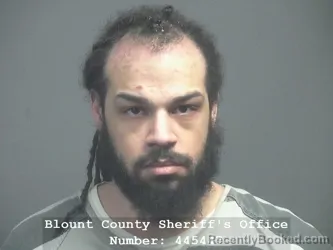 Mugshot of BOBBY RYAN LAWSON