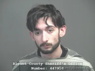 Mugshot of JUSTIN JEOHVANY MANNAH