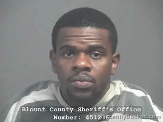 Booking photo from Blount County, Tennessee