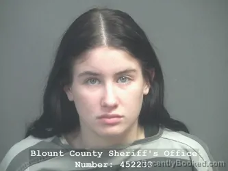 Booking photo from Blount County, Tennessee
