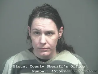Booking photo from Blount County, Tennessee