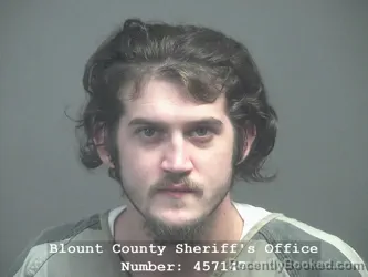 Mugshot of RYAN LEE JOHNSON