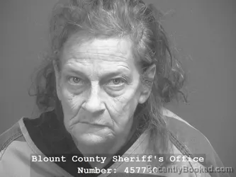 Booking photo from Blount County, Tennessee