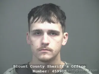 Booking photo from Blount County, Tennessee