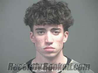 Booking photo from Blount County, Tennessee