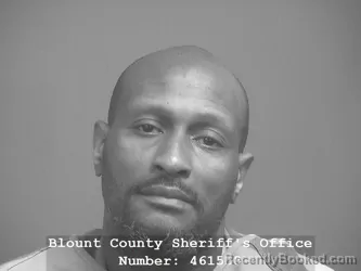 Booking photo from Blount County, Tennessee