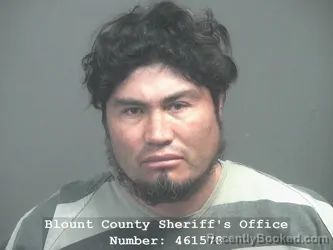 Mugshot of ALBERTO PICHARDO GONZALEZ